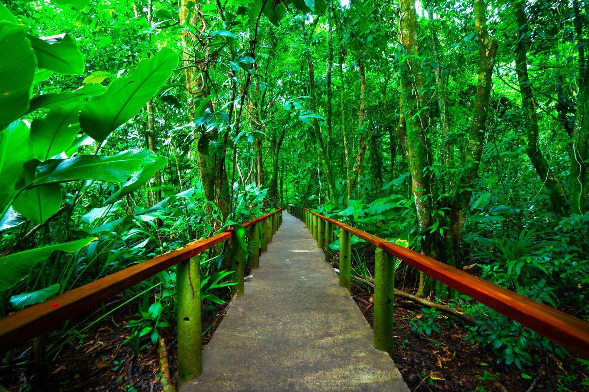 Aninga Lodge Tortuguero Buitenkant foto