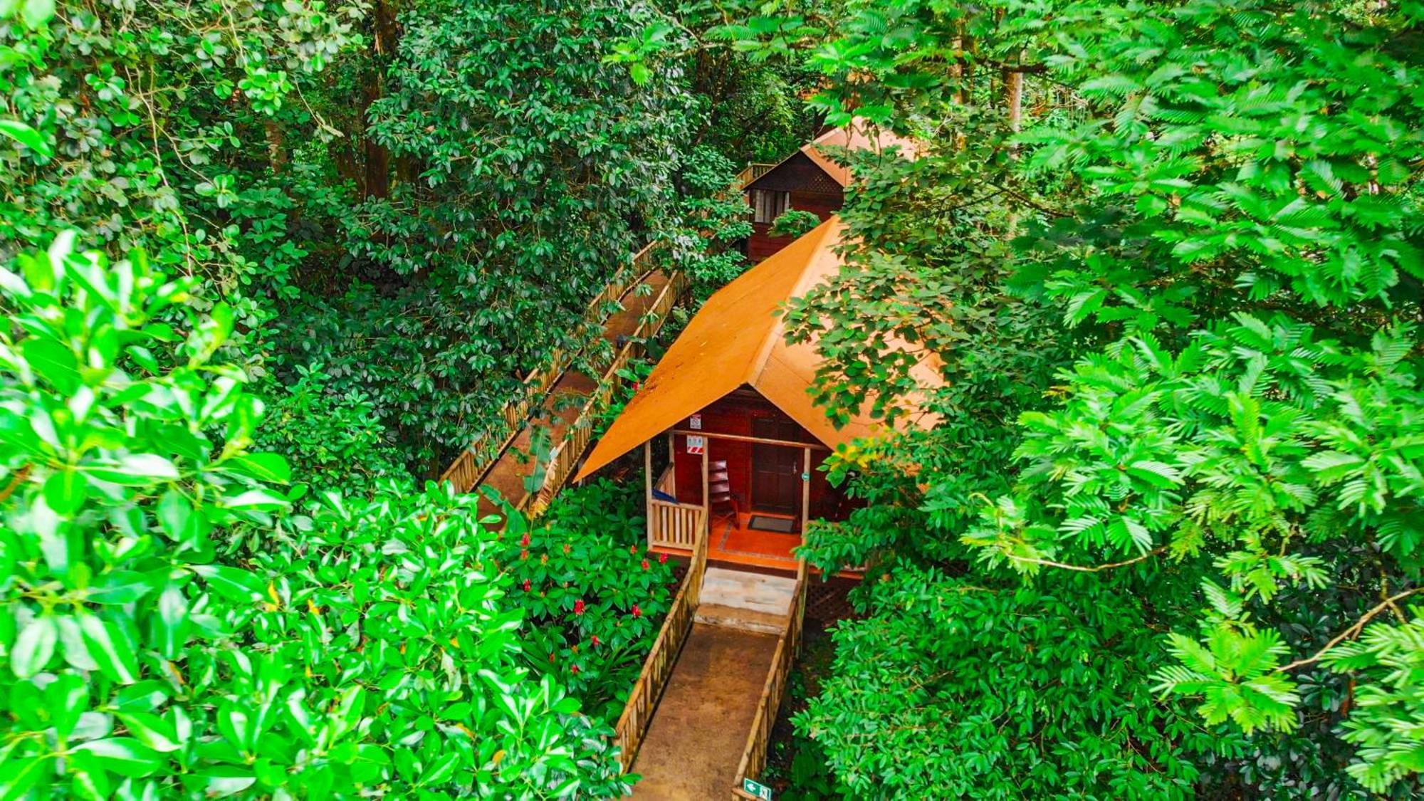 Aninga Lodge Tortuguero Buitenkant foto